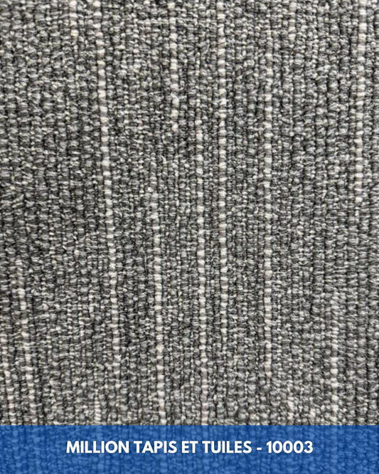 Tapis Modulaire Beaulieu 10003 | Carreau de Tapis NORDIC