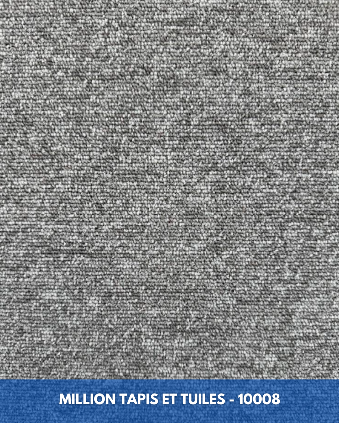 Tapis Modulaire Beaulieu 10008 | Carreau de Tapis Commercial