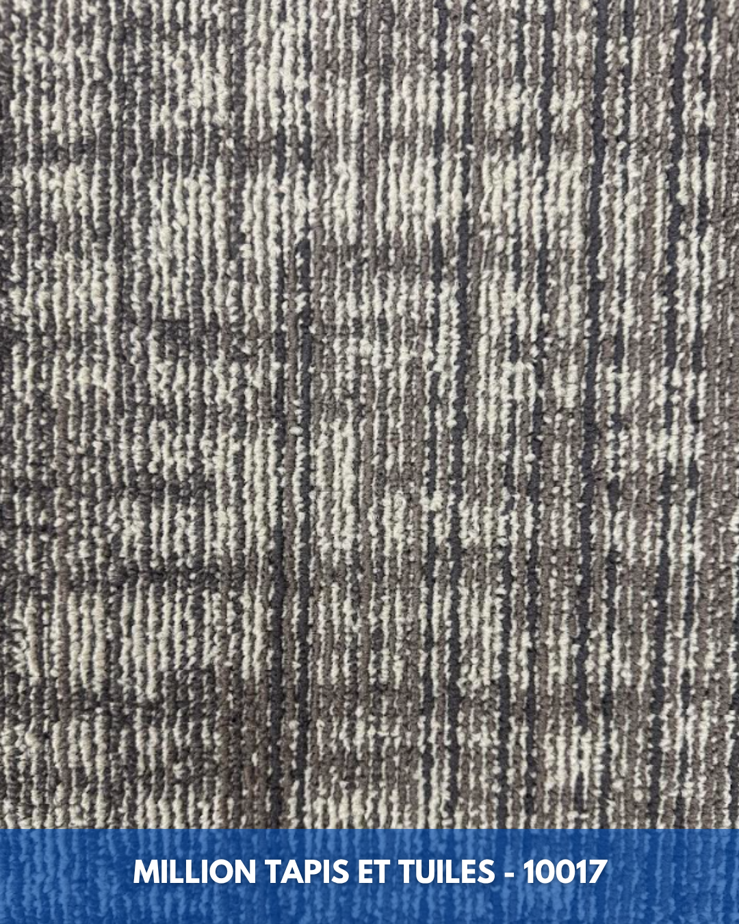 Tapis Modulaire Beaulieu 10017 | Carreau de Tapis NORDIC