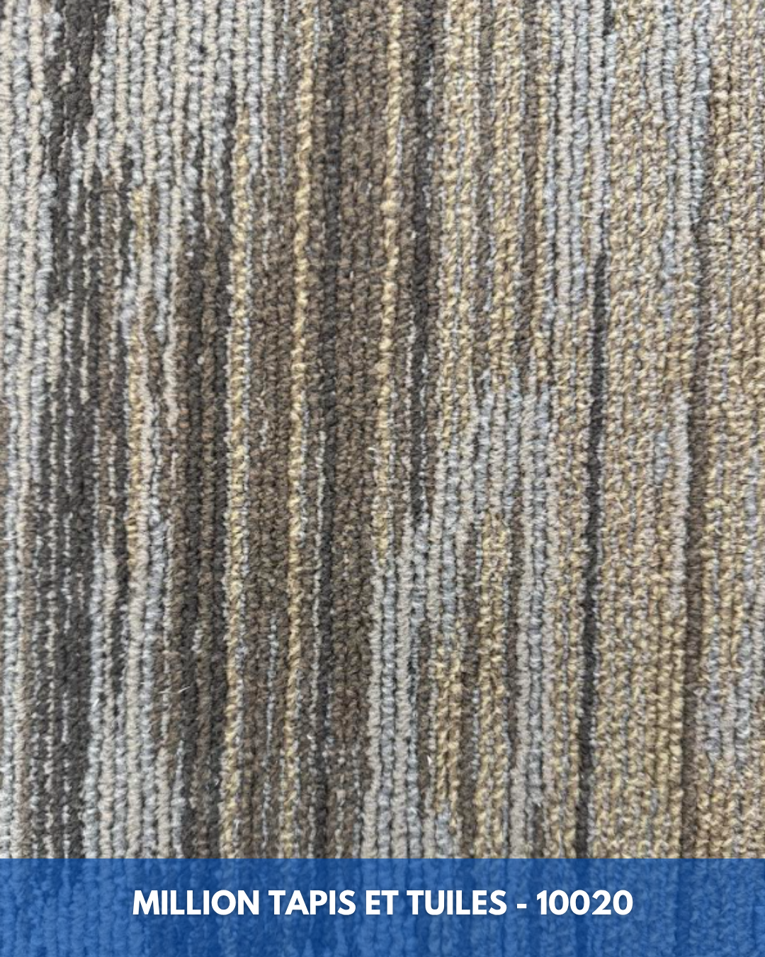 Tapis Modulaire Beaulieu 10020 | Carreau de Tapis NORDIC