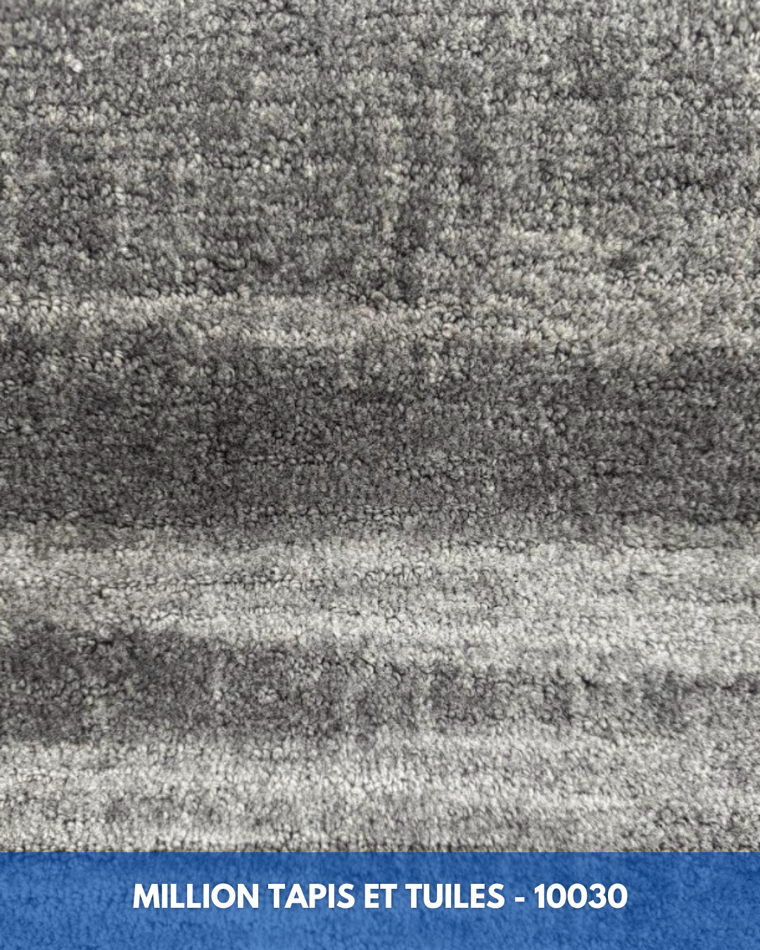 Tapis Modulaire Beaulieu 10030 | Carreau de Tapis NORDIC