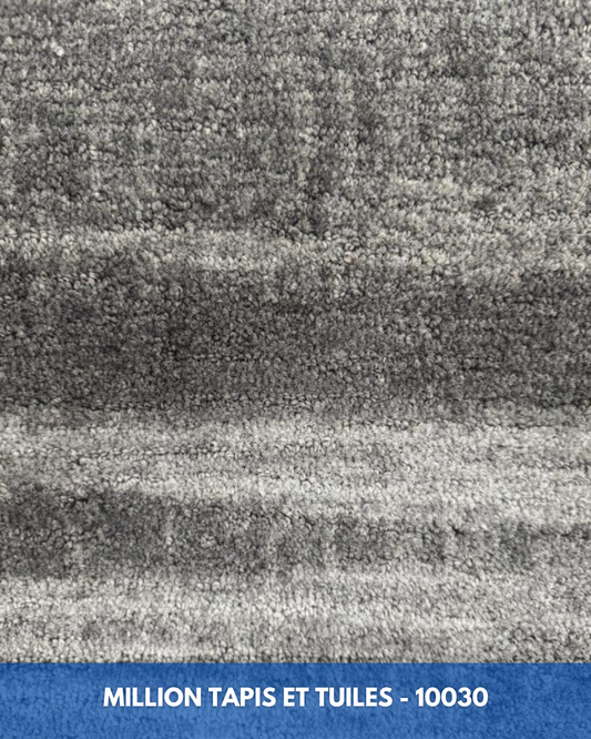 Tapis Modulaire Beaulieu 10030 | Carreau de Tapis NORDIC