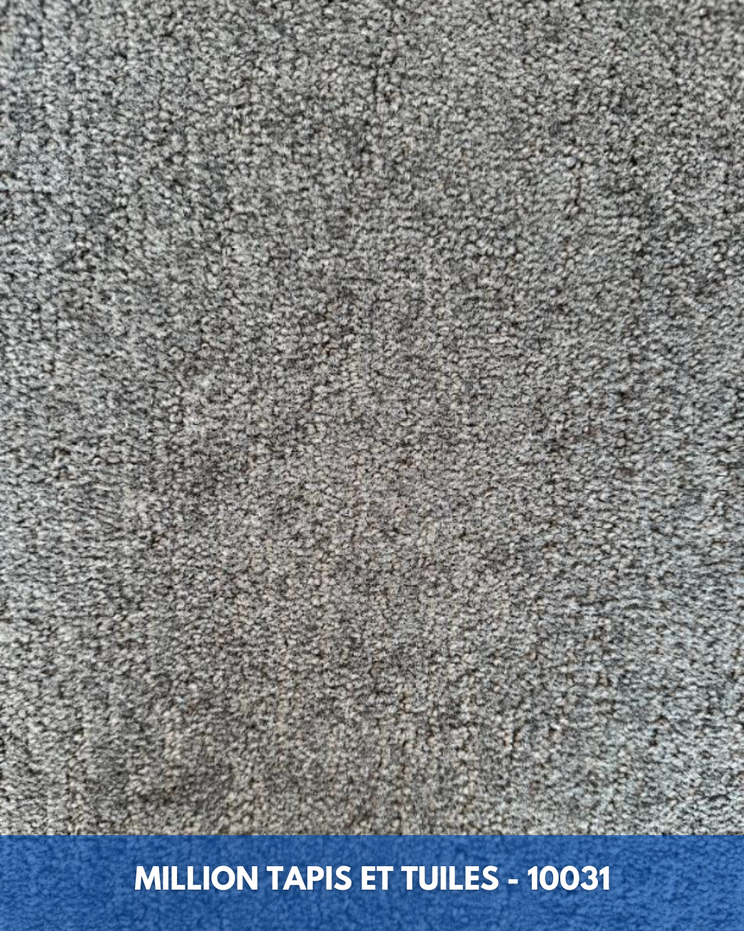 Tapis Modulaire Beaulieu 10031 | Carreau de Tapis Commercial