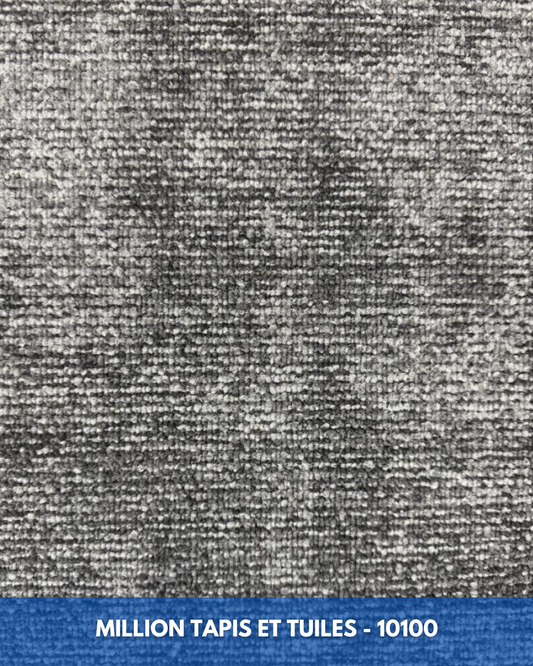 Tapis Modulaire Beaulieu 10100 | Carreau de Tapis Commercial