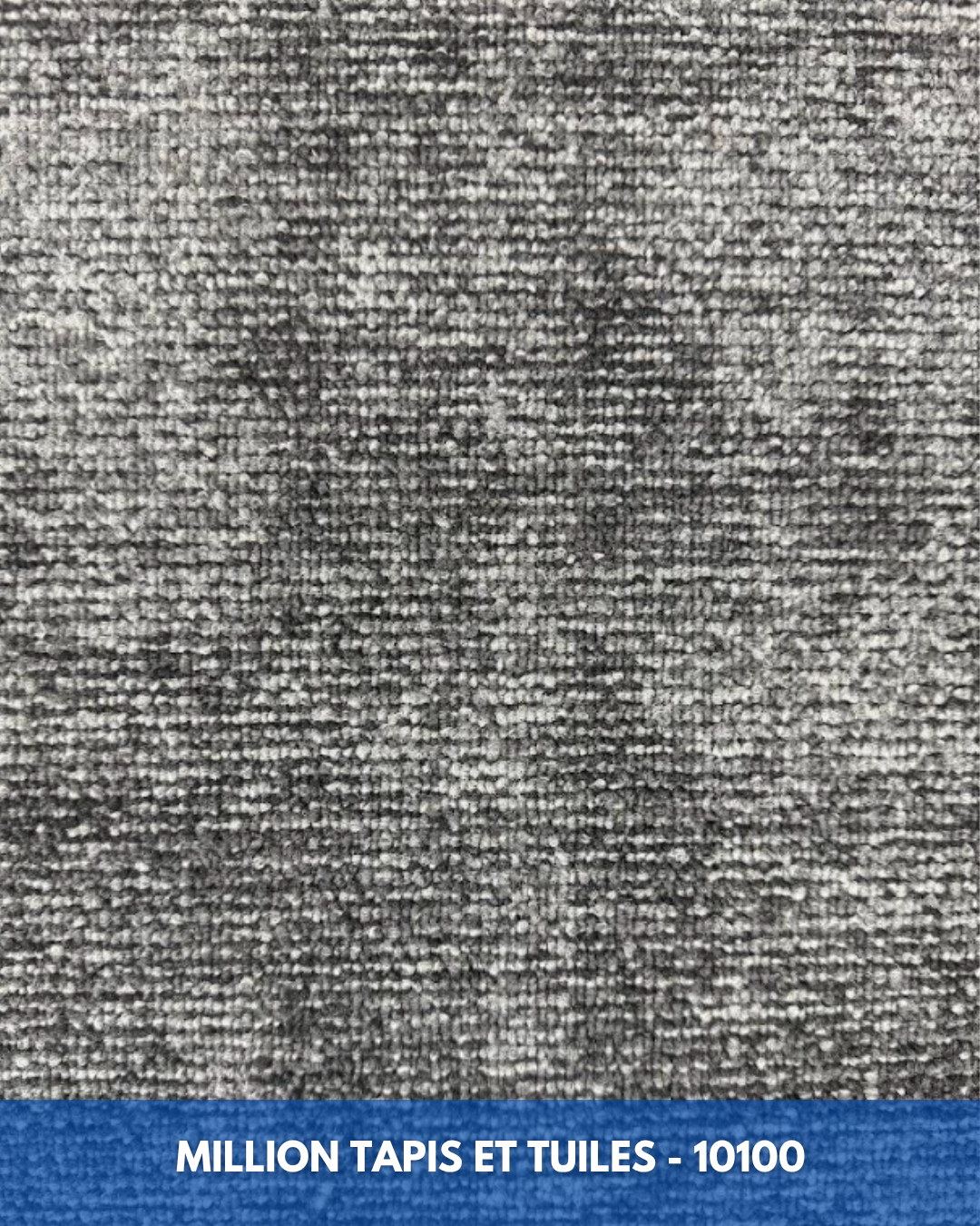 Tapis Modulaire Beaulieu 10100 | Carreau de Tapis NORDIC