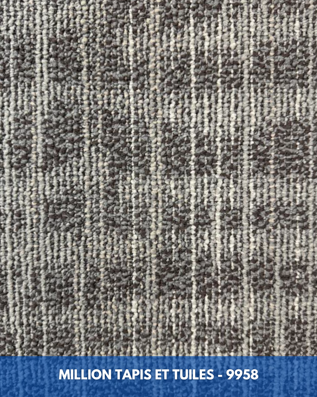 Tapis Modulaire Beaulieu 9958 | Carreau de Tapis NORDIC