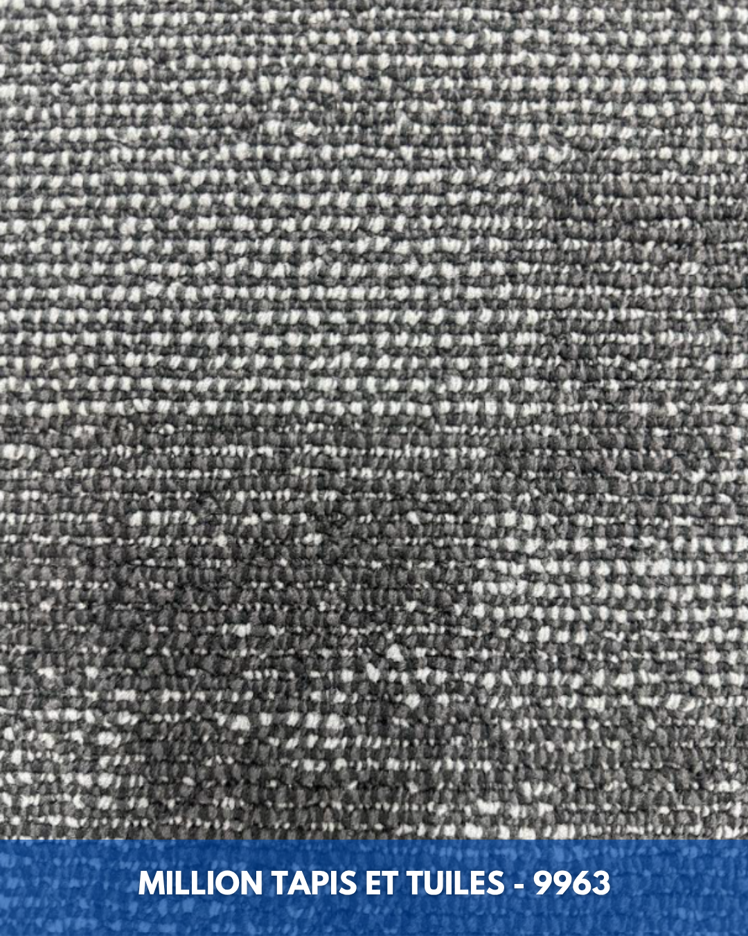 Tapis Modulaire Beaulieu 9963 | Carreau de Tapis NORDIC