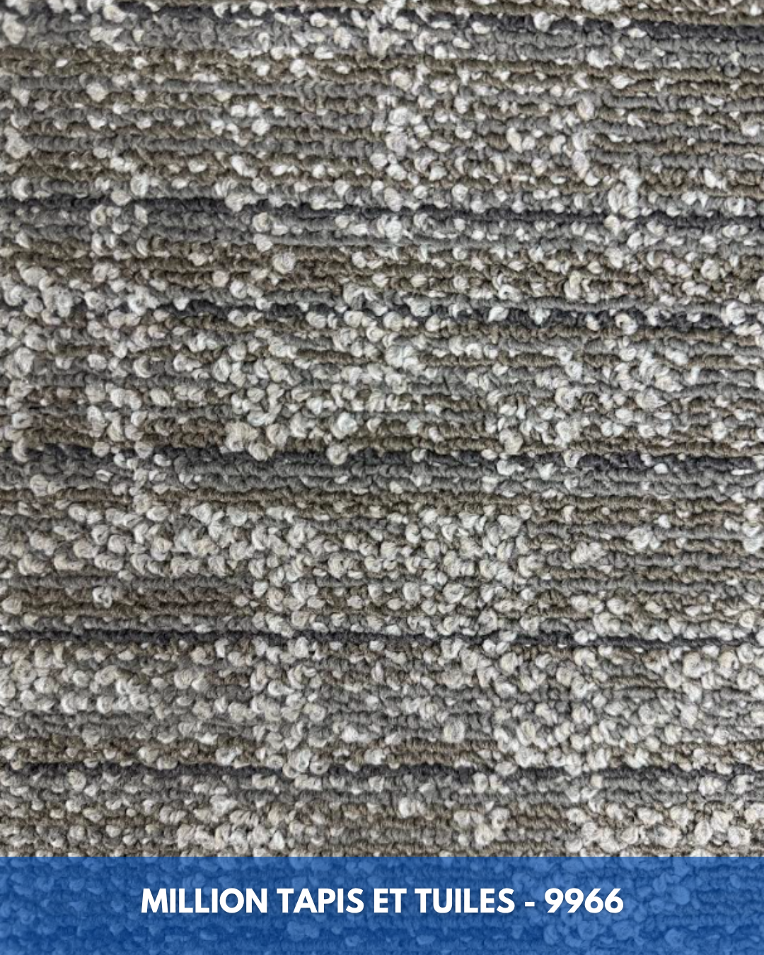 Tapis Modulaire Beaulieu 9966 | Carreau de Tapis NORDIC