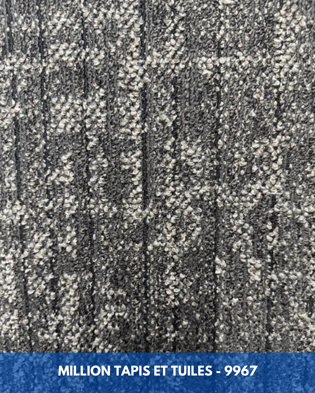 Tapis Modulaire Beaulieu 9967 | Carreau de Tapis NORDIC