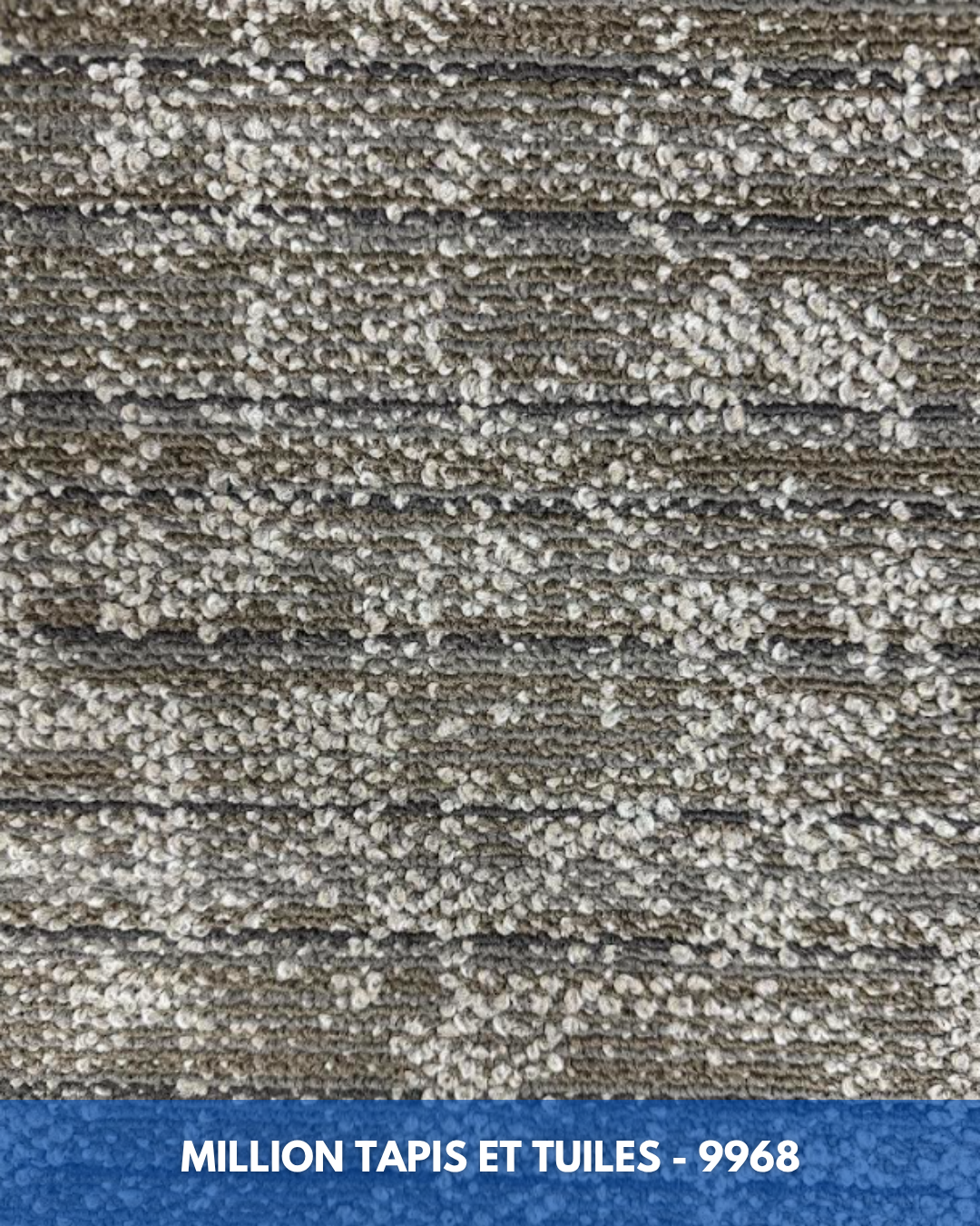 Tapis Modulaire Beaulieu 9968 | Carreau de Tapis NORDIC