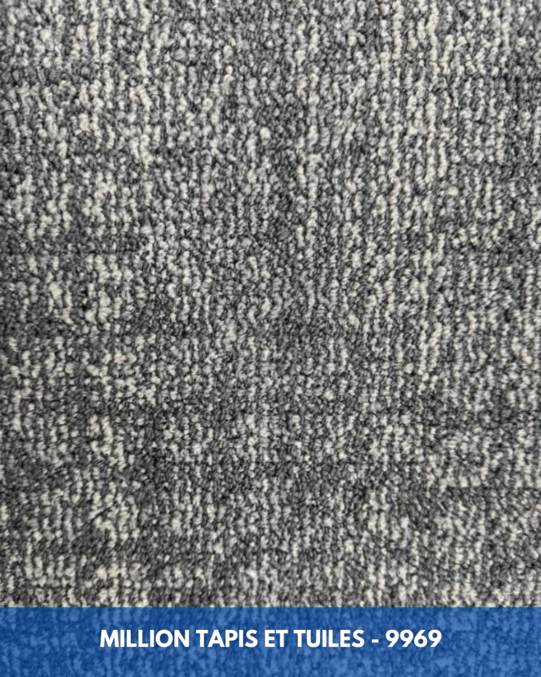Tapis Modulaire Beaulieu 9969 | Carreau de Tapis NORDIC