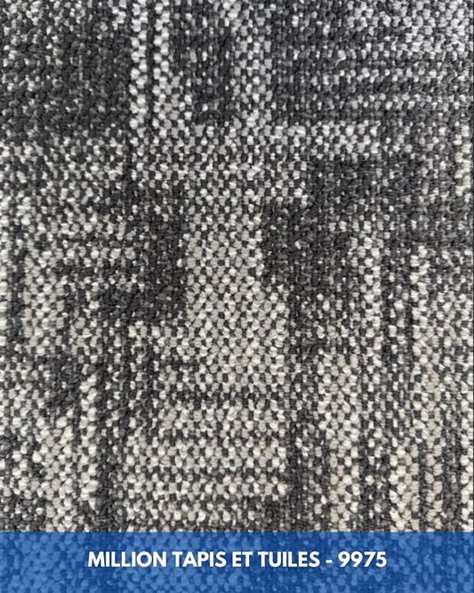 Tapis Modulaire Beaulieu 9975 | Carreau de Tapis Commercial