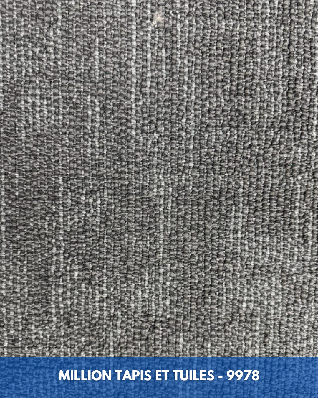 Tapis Modulaire Beaulieu 9978 | Carreau de Tapis NORDIC