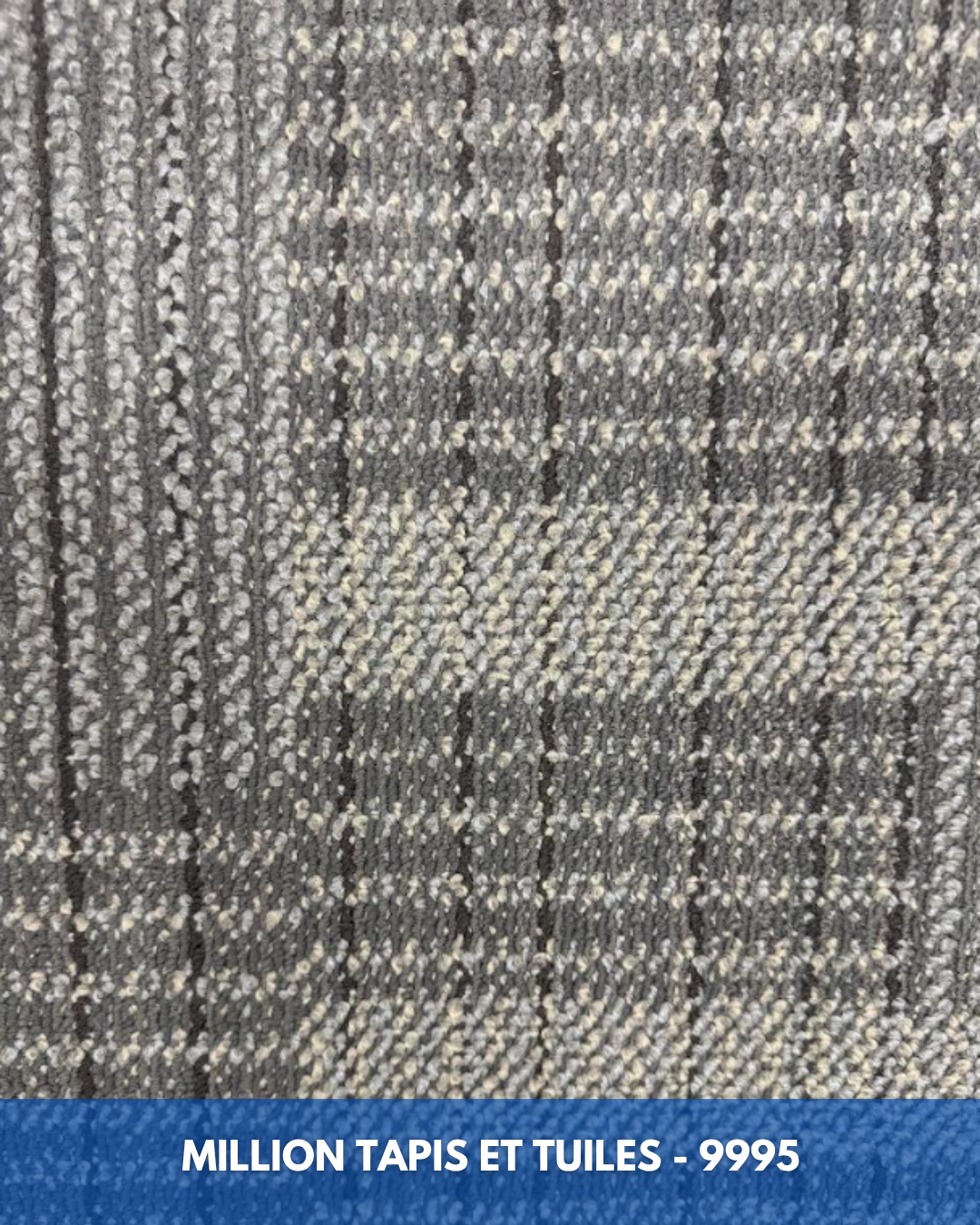 Tapis Modulaire Beaulieu 9995 | Carreau de Tapis NORDIC