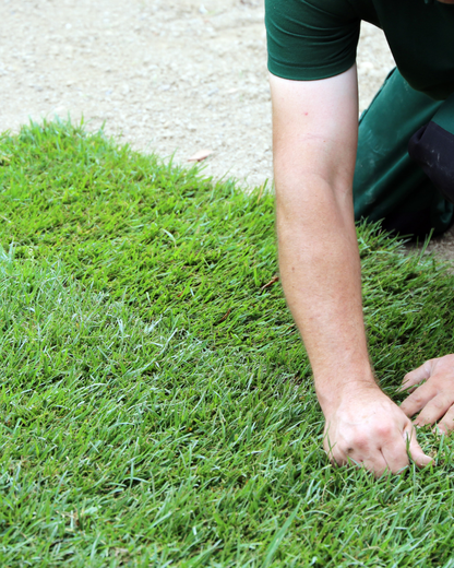 Gazon Synthétique 30mm Extérieur – 2.29$/pi² | Résistant & Économique