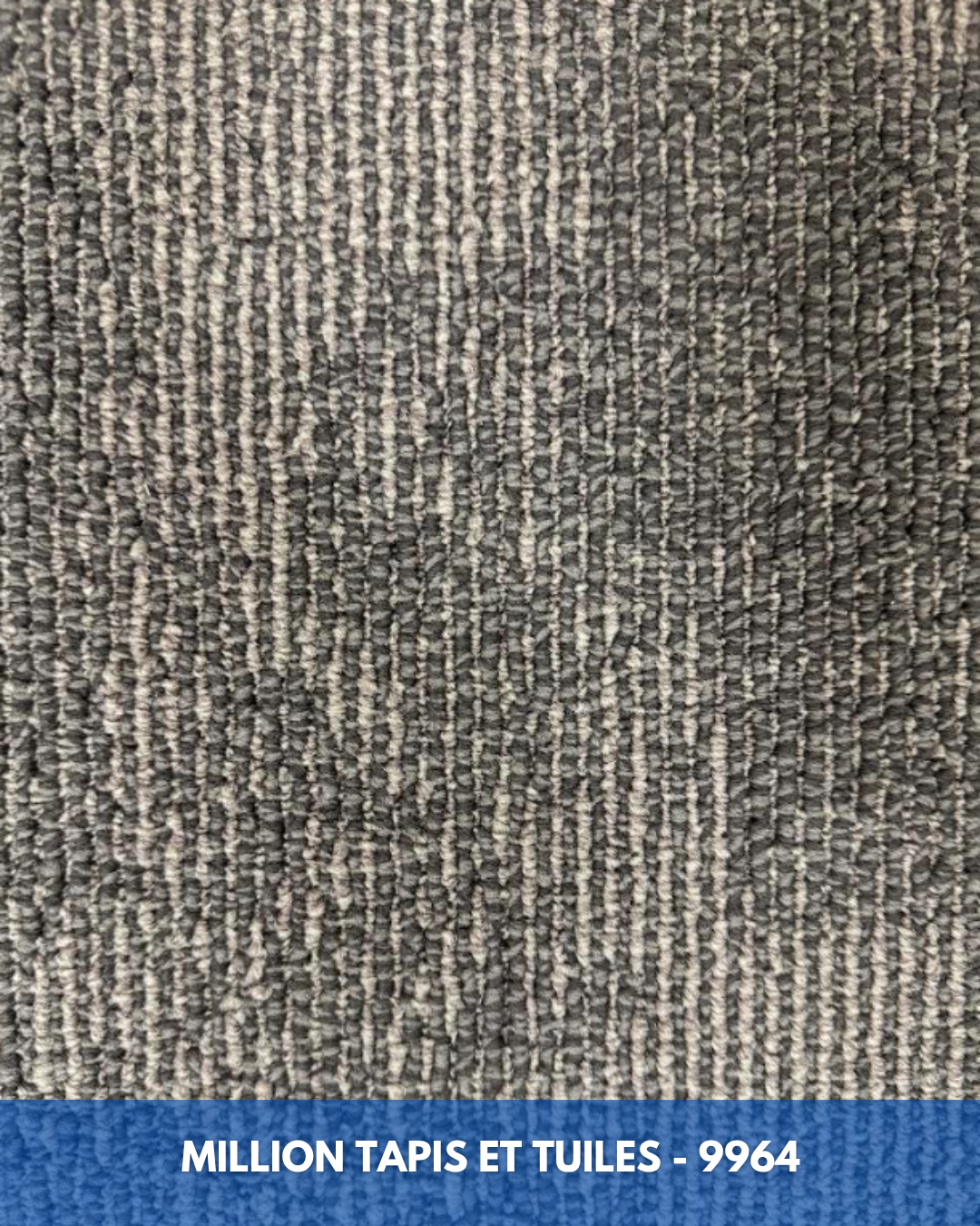 Tapis Modulaire Beaulieu 9964 | Carreau de Tapis DYNAMO