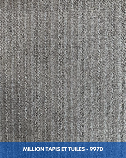 Tapis Modulaire Beaulieu 9970 | Carreau de Tapis NORDIC