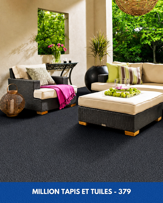 Tapis d'extérieur Million Shaw 379 - Gris Ardoise