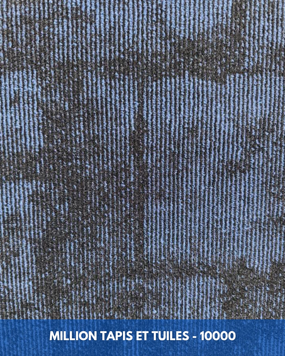 Tapis Modulaire Beaulieu 10000 | Carreau de Tapis NORDIC
