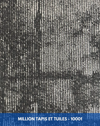 Tapis Modulaire Beaulieu 10001 | Carreau de Tapis NORDIC