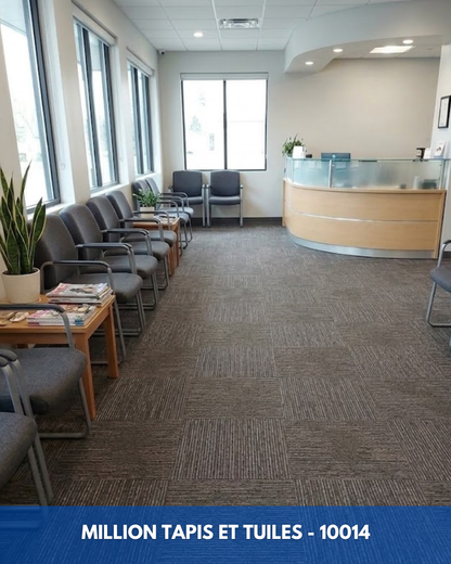 Tapis Modulaire Beaulieu 10014 | Carreau de Tapis NORDIC