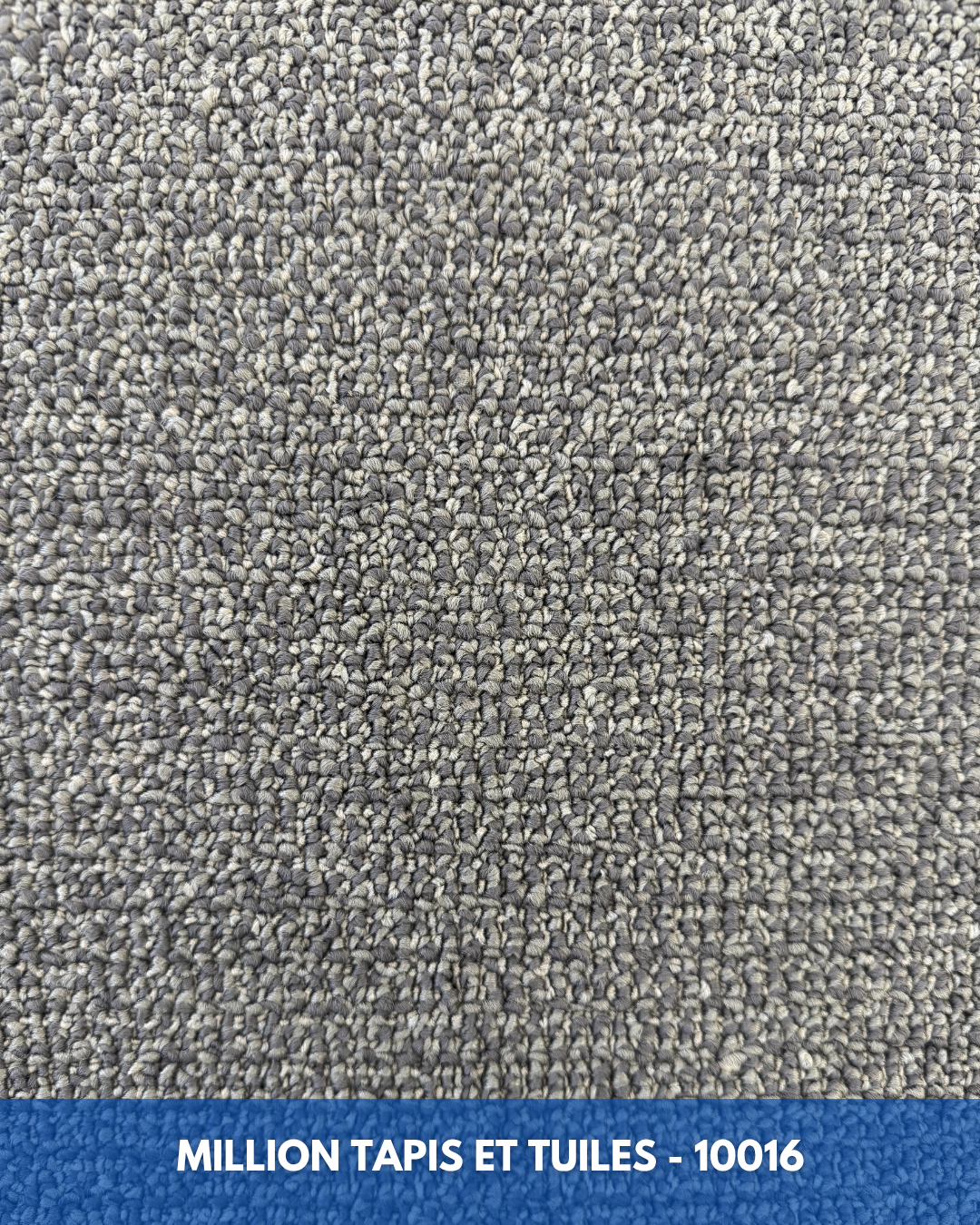 Tapis Modulaire Beaulieu 10016 | Carreau de Tapis NORDIC