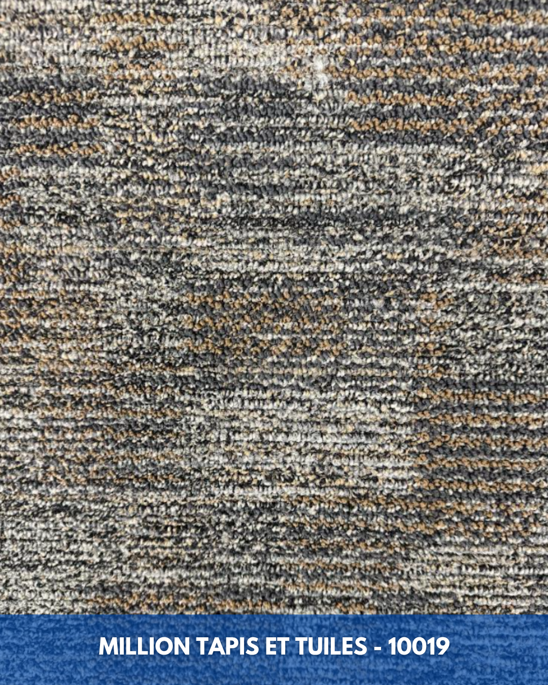 Tapis Modulaire Beaulieu 10019 | Carreau de Tapis NORDIC