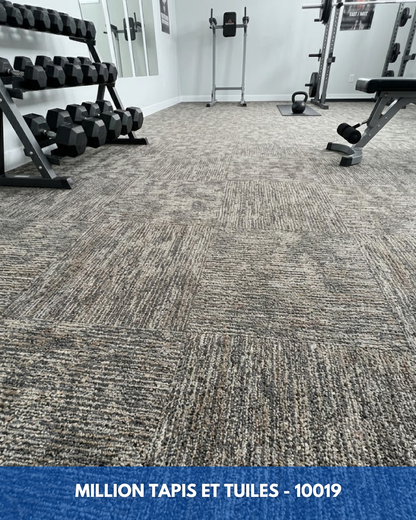 Tapis Modulaire Beaulieu 10019 | Carreau de Tapis NORDIC