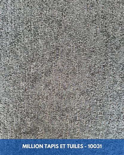 Tapis Modulaire Beaulieu 10031 | Carreau de Tapis Commercial