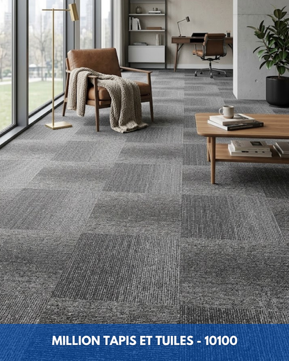 Tapis Modulaire Beaulieu 10100 | Carreau de Tapis NORDIC