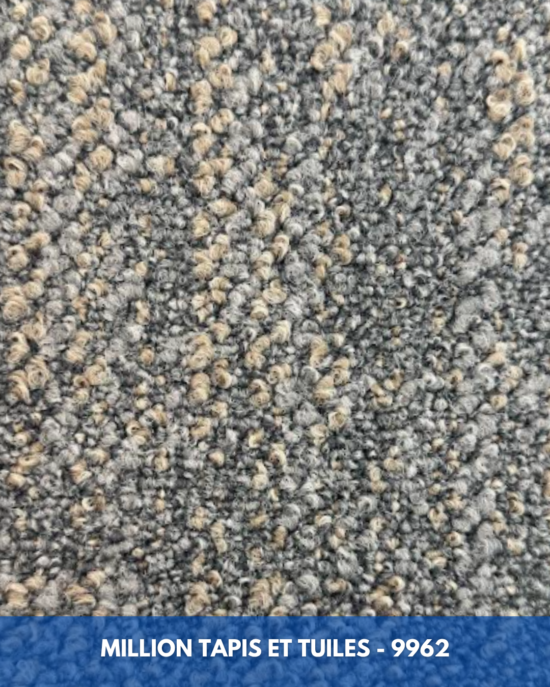 Tapis Modulaire Beaulieu 9962 | Carreau de Tapis NORDIC