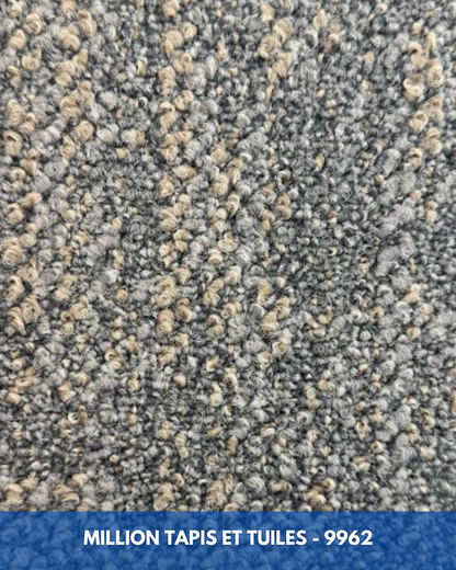 Tapis Modulaire Beaulieu 9962 | Carreau de Tapis NORDIC