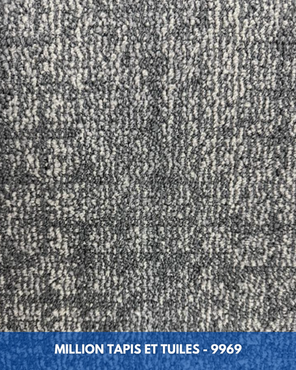Tapis Modulaire Beaulieu 9969 | Carreau de Tapis NORDIC