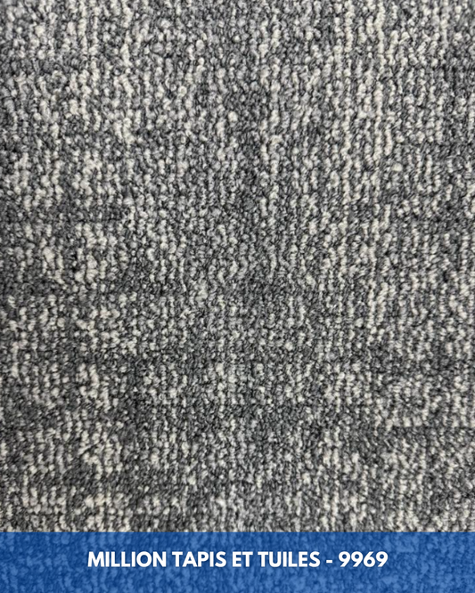 Tapis Modulaire Beaulieu 9969 | Carreau de Tapis NORDIC