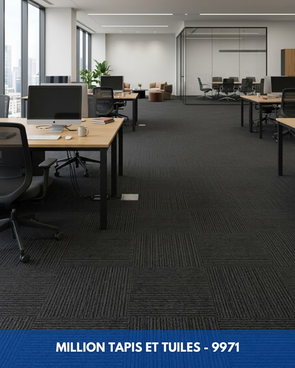 Tapis Modulaire Beaulieu 9971 | Carreau de Tapis Commercial