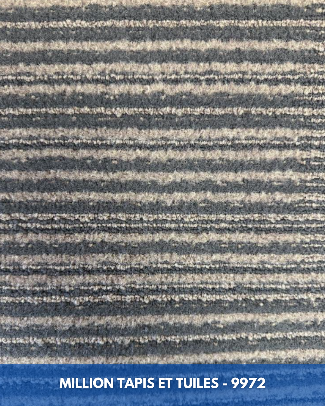 Tapis Modulaire Beaulieu 9972 | Carreau de Tapis NORDIC