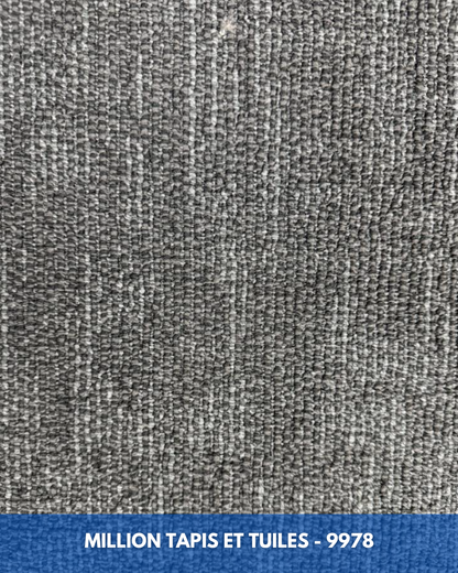 Tapis Modulaire Beaulieu 9978 | Carreau de Tapis NORDIC