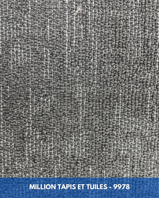 Tapis Modulaire Beaulieu 9978 | Carreau de Tapis NORDIC