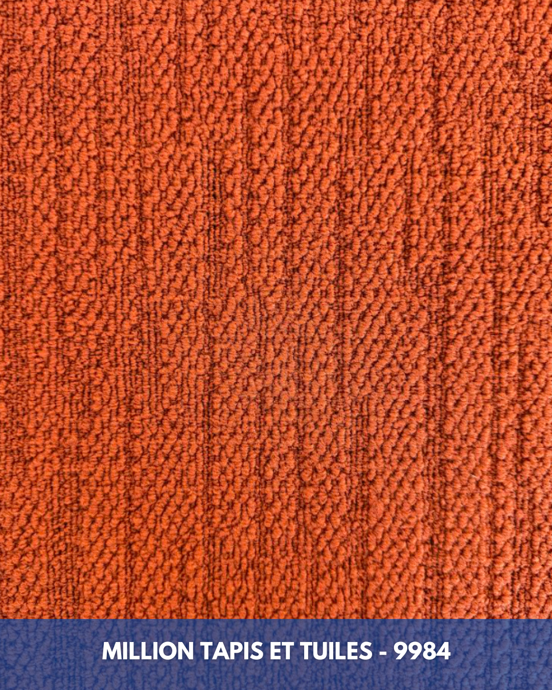 Tapis Modulaire Beaulieu 9984 | Carreau de Tapis Commercial