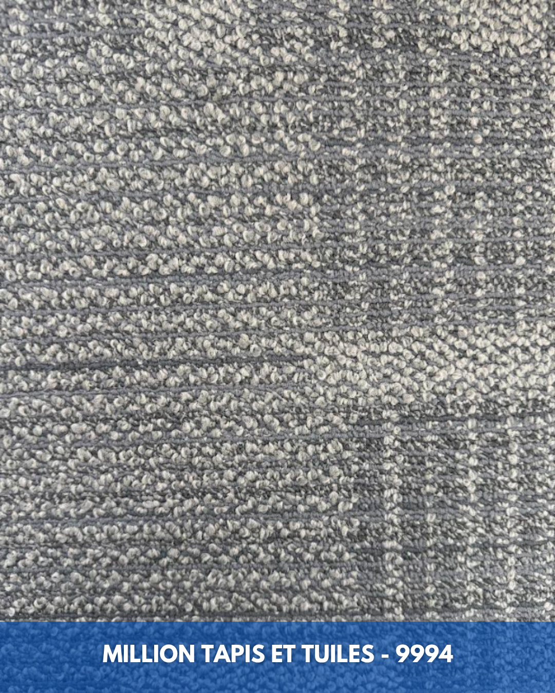 Tapis Modulaire Beaulieu 9994 | Carreau de Tapis NORDIC