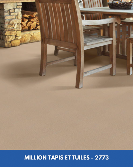 Tapis d'extérieur Million Shaw 2773 - Beige Sable