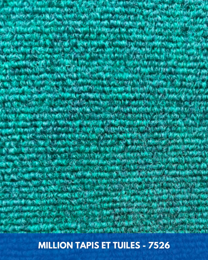 Tapis d'extérieur Aqua – Balcon, Patio & Cour | Coupé sur mesure (4 pieds de large)