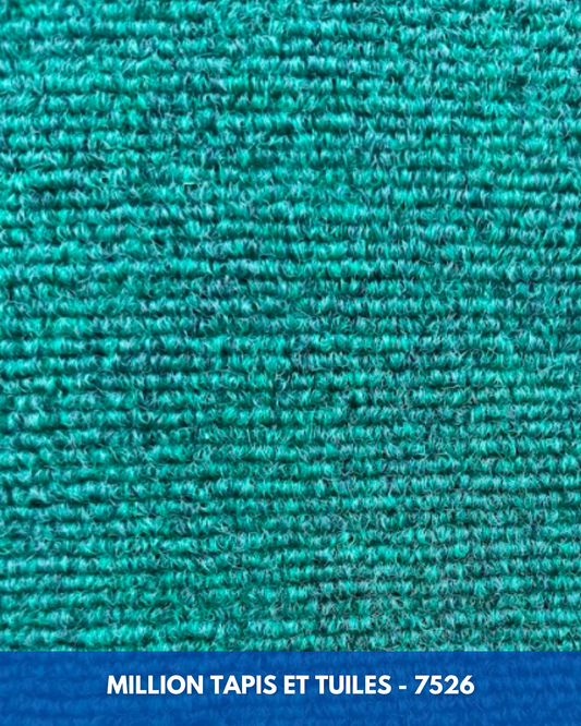 Tapis d'extérieur Aqua – Balcon, Patio & Cour | Coupé sur mesure (4 pieds de large)